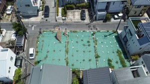上空写真