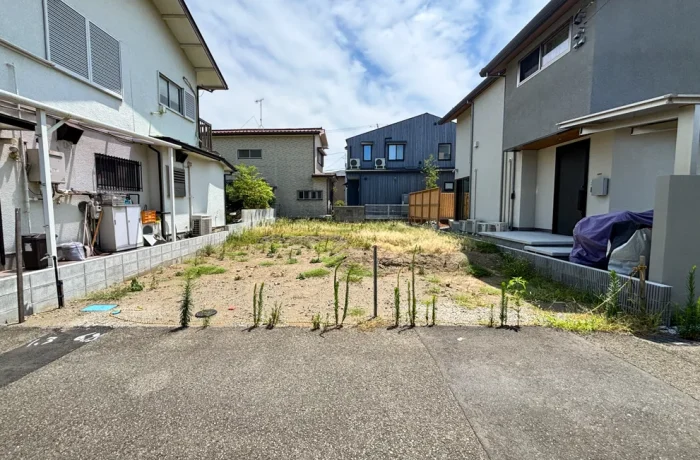 現地写真